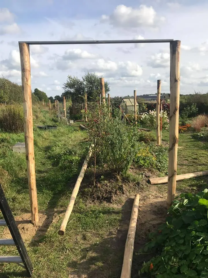 Pergola van ruw kastanjehout