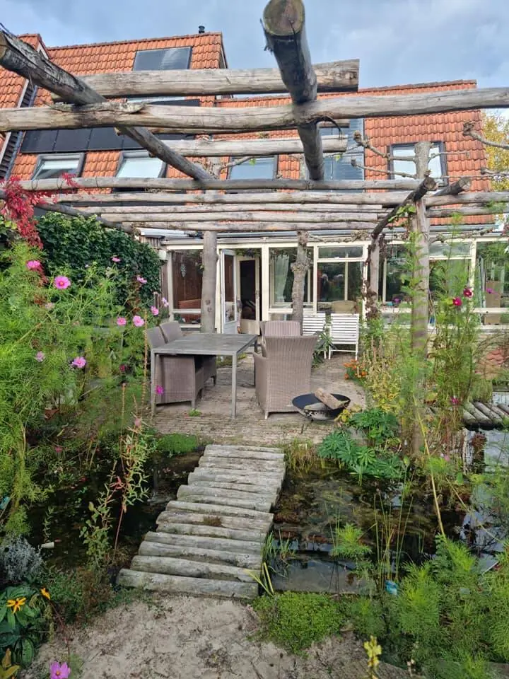 Pergola langs de gevel, begroeid met klimplanten