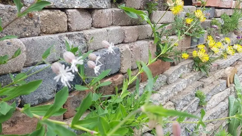Stapelmuur van hergebruikte stenen in de voorbeeldtuin