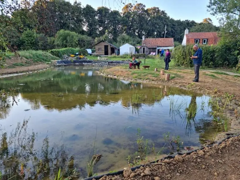 Grote natuurvijver in een woonwijk